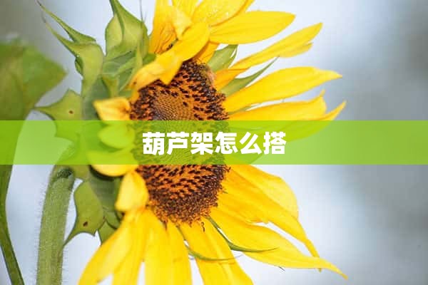 葫芦架怎么搭