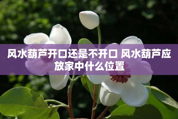 风水葫芦开口还是不开口 风水葫芦应放家中什么位置