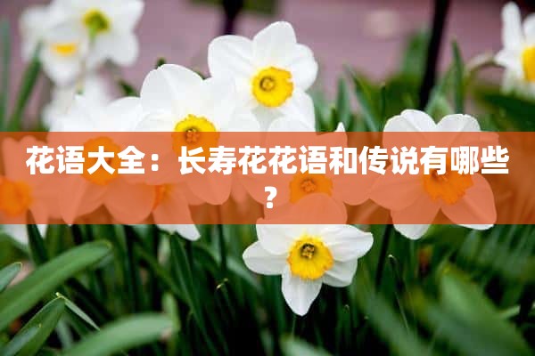 花语大全：长寿花花语和传说有哪些？