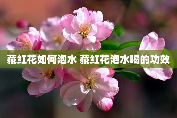 藏红花如何泡水 藏红花泡水喝的功效