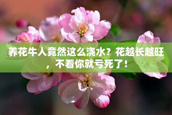 养花牛人竟然这么浇水？花越长越旺，不看你就亏死了！