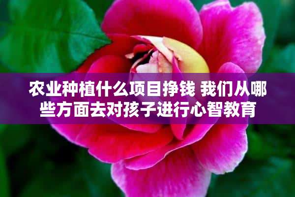 农业种植什么项目挣钱 我们从哪些方面去对孩子进行心智教育