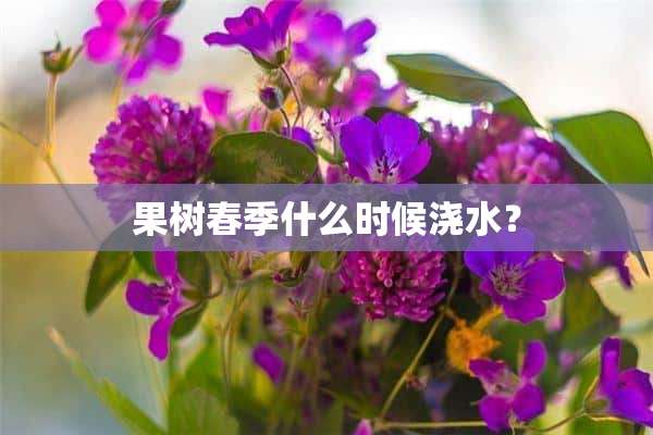 果树春季什么时候浇水？