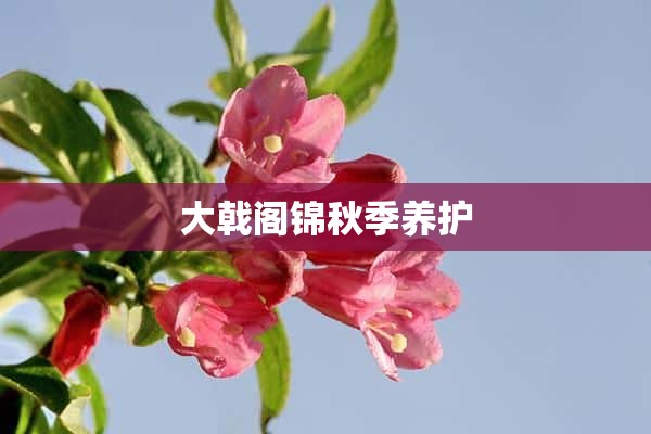 大戟阁锦秋季养护