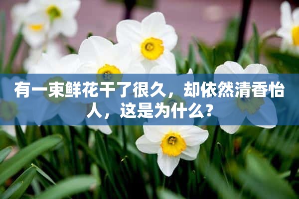 有一束鲜花干了很久，却依然清香怡人，这是为什么？