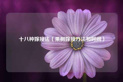 十八种嫁接法（果树嫁接方法和时间） 花卉