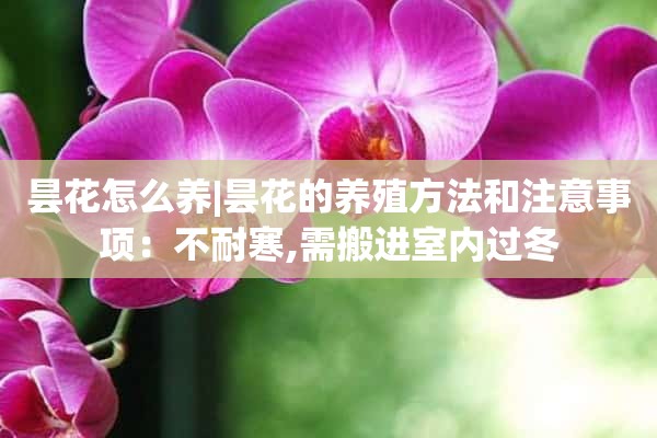 昙花怎么养|昙花的养殖方法和注意事项：不耐寒,需搬进室内过冬