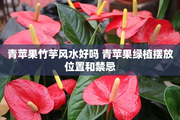 青苹果竹芋风水好吗 青苹果绿植摆放位置和禁忌