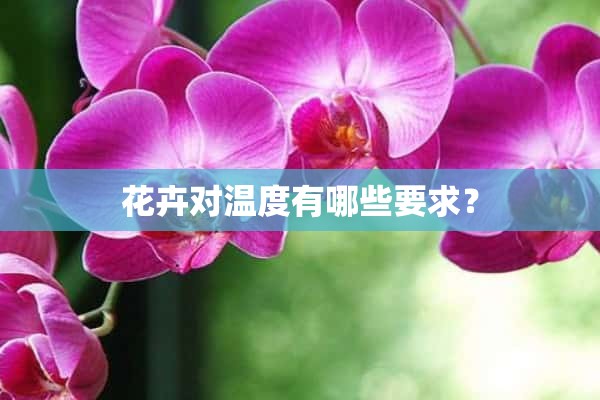 花卉对温度有哪些要求？