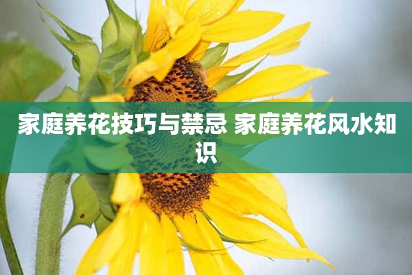 家庭养花技巧与禁忌 家庭养花风水知识