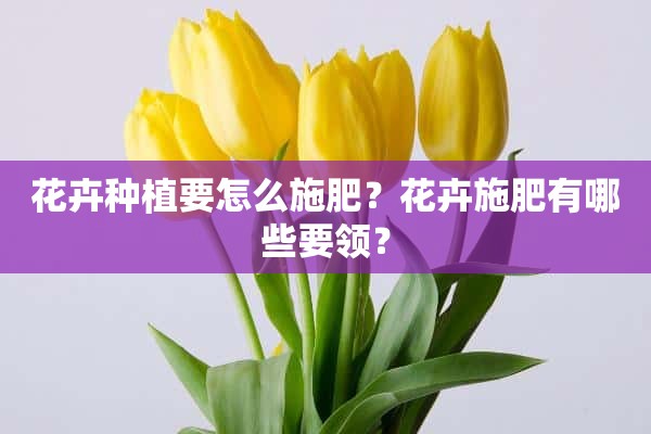 花卉种植要怎么施肥？花卉施肥有哪些要领？