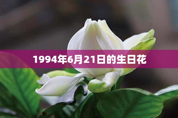 1994年6月21日的生日花