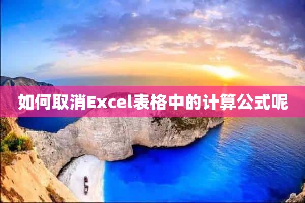 如何取消Excel表格中的计算公式呢