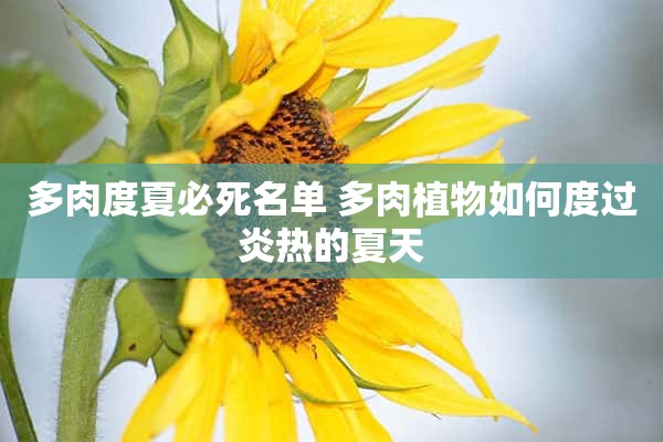 多肉度夏必死名单 多肉植物如何度过炎热的夏天