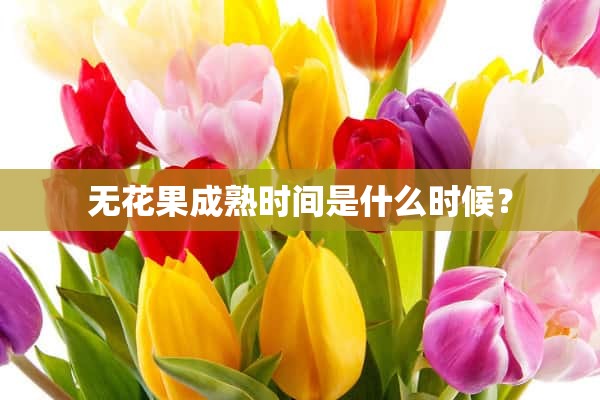 无花果成熟时间是什么时候？