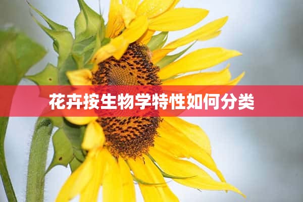 花卉按生物学特性如何分类