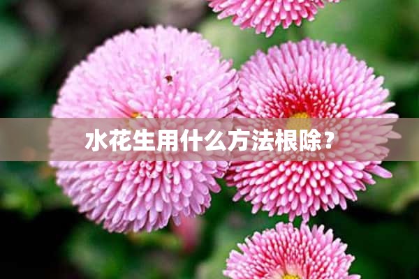 水花生用什么方法根除？