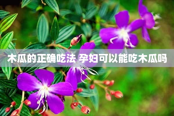 木瓜的正确吃法 孕妇可以能吃木瓜吗