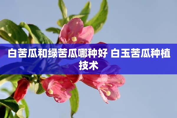 白苦瓜和绿苦瓜哪种好 白玉苦瓜种植技术