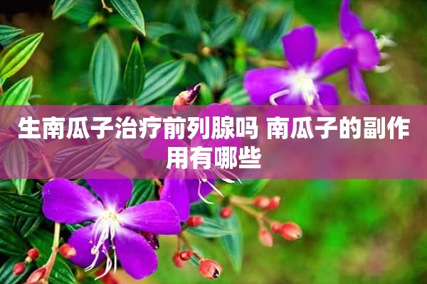 生南瓜子治疗前列腺吗 南瓜子的副作用有哪些