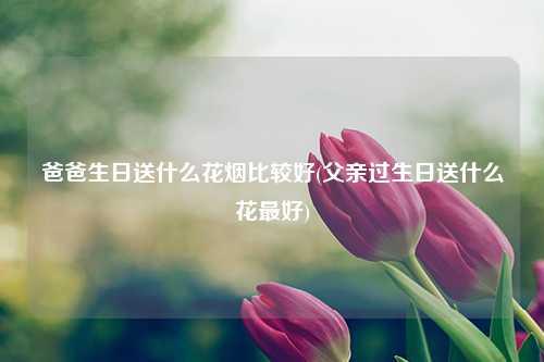 爸爸生日送什么花烟比较好(父亲过生日送什么花最好) 花卉