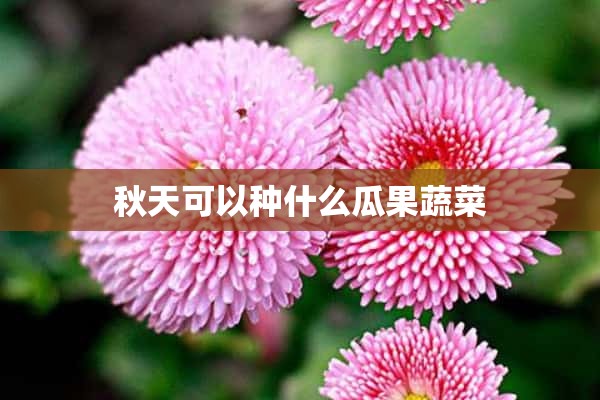 秋天可以种什么瓜果蔬菜