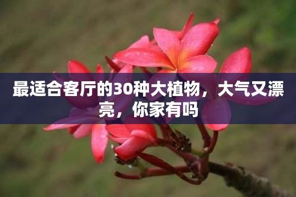 最适合客厅的30种大植物，大气又漂亮，你家有吗