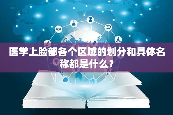 医学上脸部各个区域的划分和具体名称都是什么？