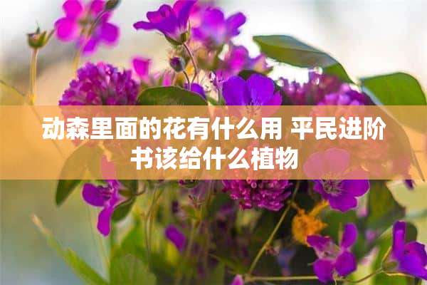 动森里面的花有什么用 平民进阶书该给什么植物