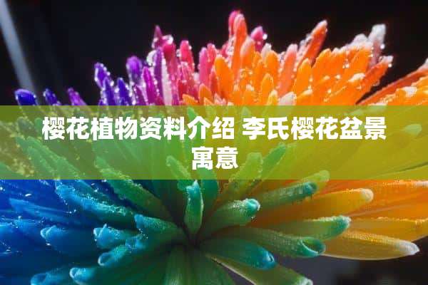 樱花植物资料介绍 李氏樱花盆景寓意