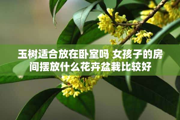 玉树适合放在卧室吗 女孩子的房间摆放什么花卉盆栽比较好