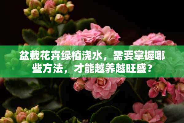 盆栽花卉绿植浇水，需要掌握哪些方法，才能越养越旺盛？