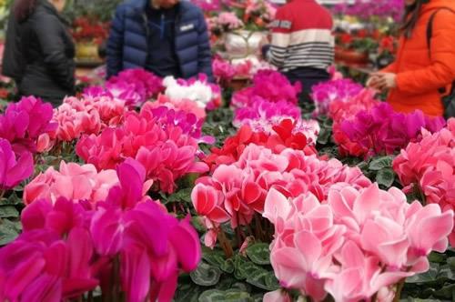 在花店怎么挑选鲜花？挑选鲜花的几个要点