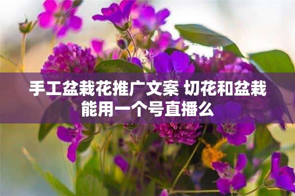 手工盆栽花推广文案 切花和盆栽能用一个号直播么