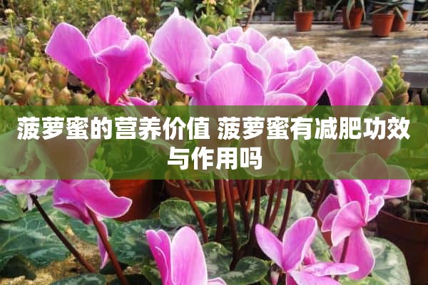 菠萝蜜的营养价值 菠萝蜜有减肥功效与作用吗