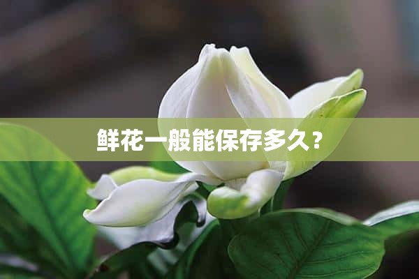 鲜花一般能保存多久？