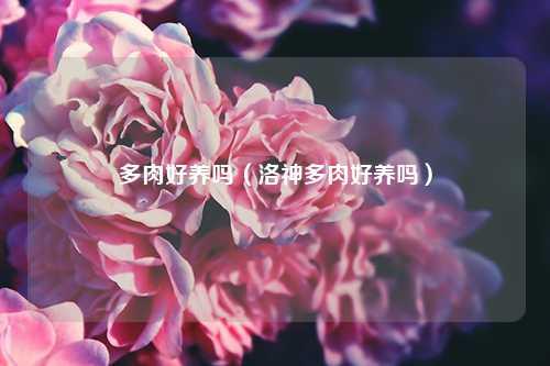 多肉好养吗（洛神多肉好养吗） 花卉