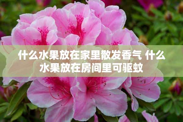 什么水果放在家里散发香气 什么水果放在房间里可驱蚊