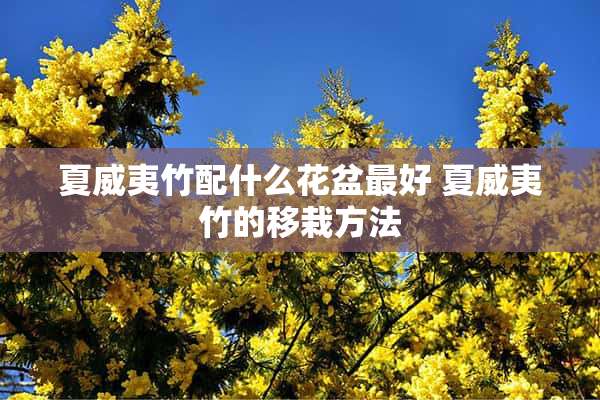 夏威夷竹配什么花盆最好 夏威夷竹的移栽方法