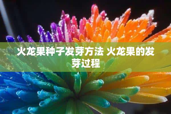 火龙果种子发芽方法 火龙果的发芽过程