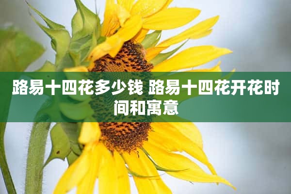 路易十四花多少钱 路易十四花开花时间和寓意