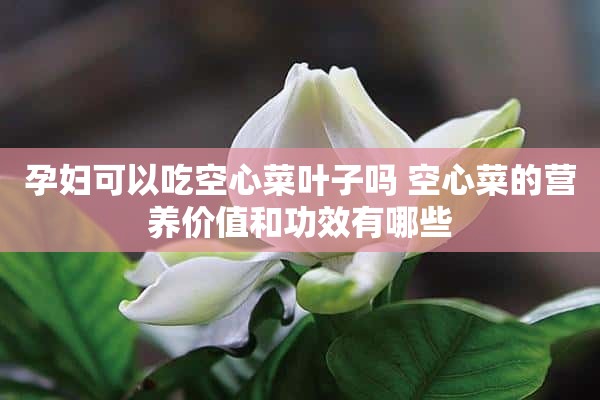 孕妇可以吃空心菜叶子吗 空心菜的营养价值和功效有哪些