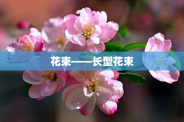 花束——长型花束