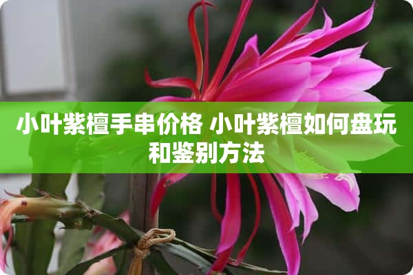 小叶紫檀手串价格 小叶紫檀如何盘玩和鉴别方法