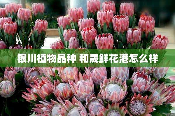 银川植物品种 和晟鲜花港怎么样