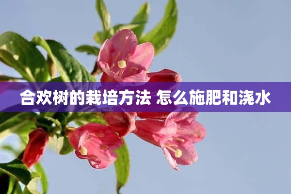 合欢树的栽培方法 怎么施肥和浇水