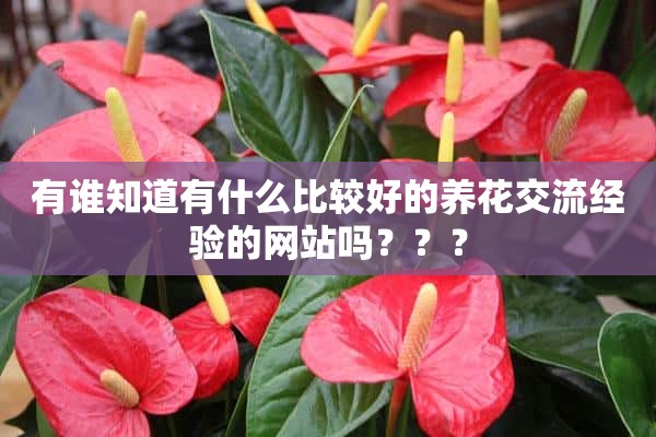 有谁知道有什么比较好的养花交流经验的网站吗？？？