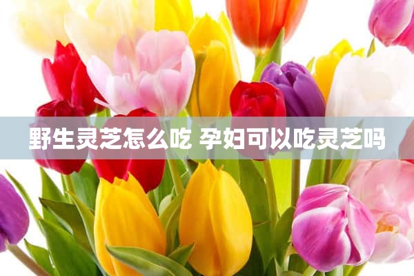 野生灵芝怎么吃 孕妇可以吃灵芝吗