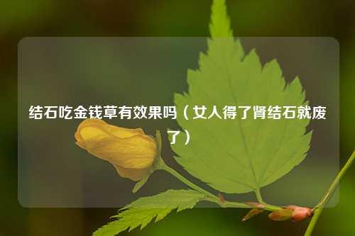 结石吃金钱草有效果吗（女人得了肾结石就废了） 花卉