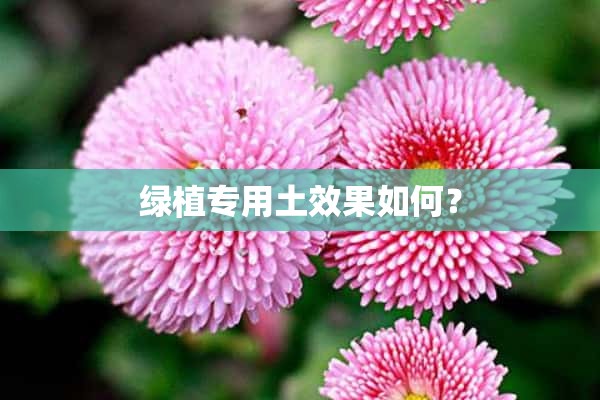 绿植专用土效果如何？